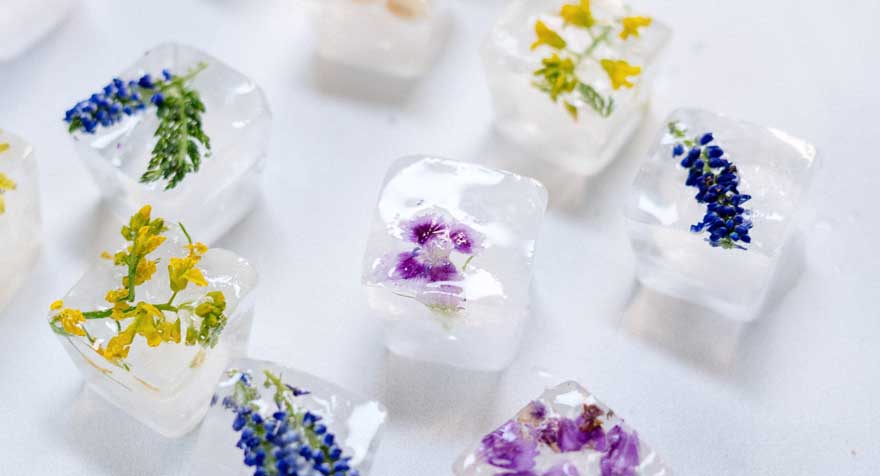 flowers  in ice cubes